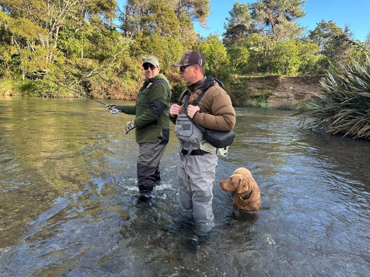 Expert Fly Fishing Guide New Zealand