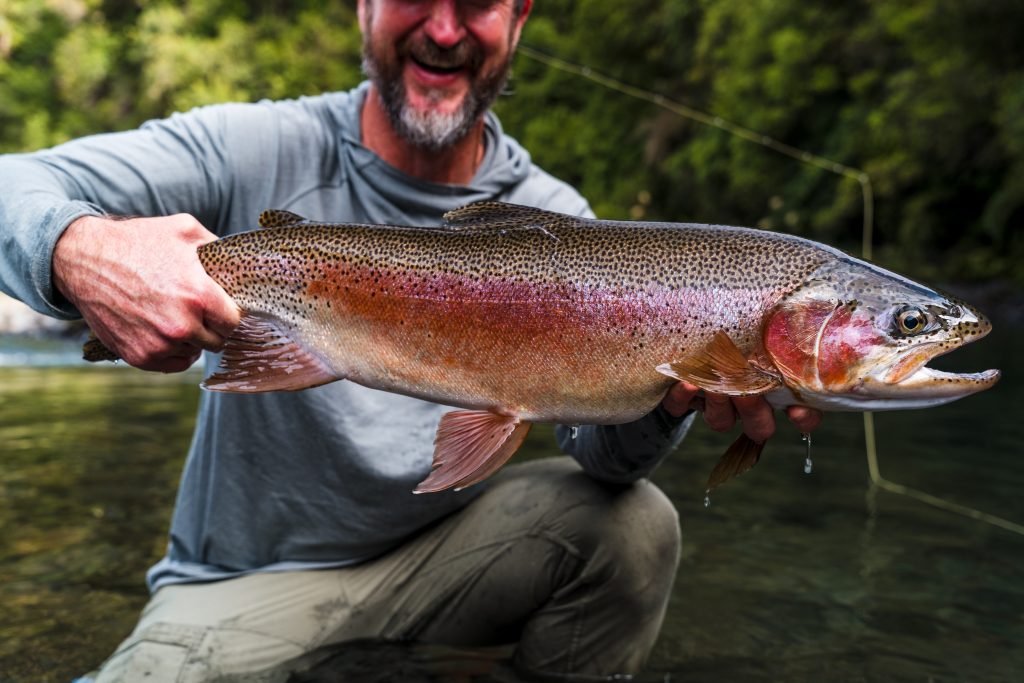 World Class Trout
