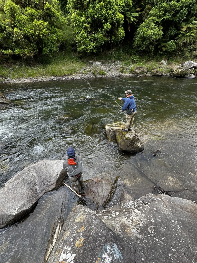 Ly Fishing In Action New Zealand